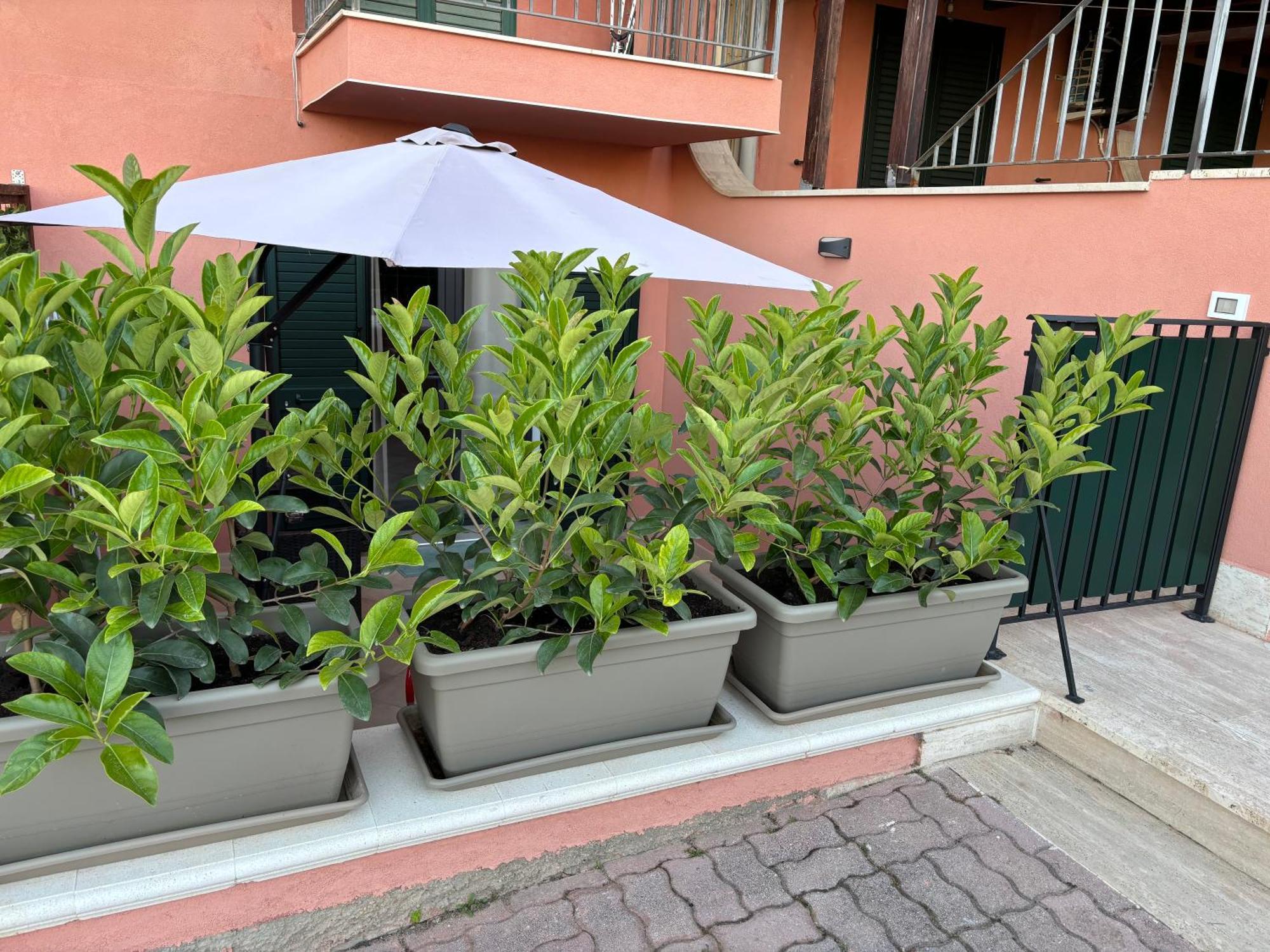 Casa Vacanza Scala Dei Turchi Realmonte Luaran gambar